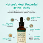Lymphatic Drainage Drops