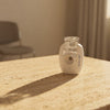 Micro Mist Pro Portable Nebulizer