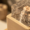 Ambient LED Shower Light